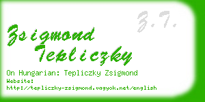 zsigmond tepliczky business card